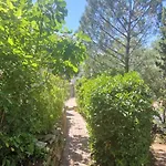 With Garden In Appartamento *