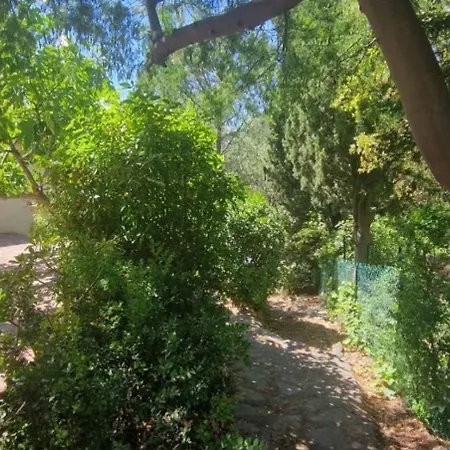 Apartment With Garden In *
