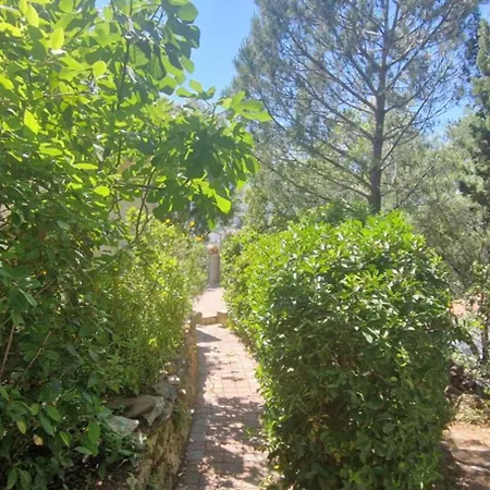 Apartment With Garden In Sainte-Maxime