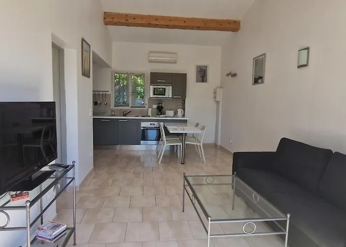 With Garden In Apartment *