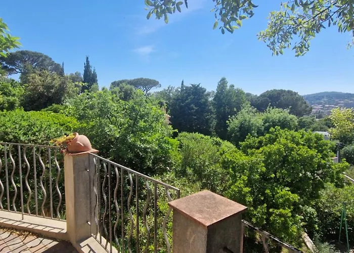 With Garden In Apartamento *