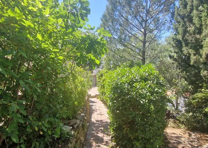 With Garden In Apartamento *