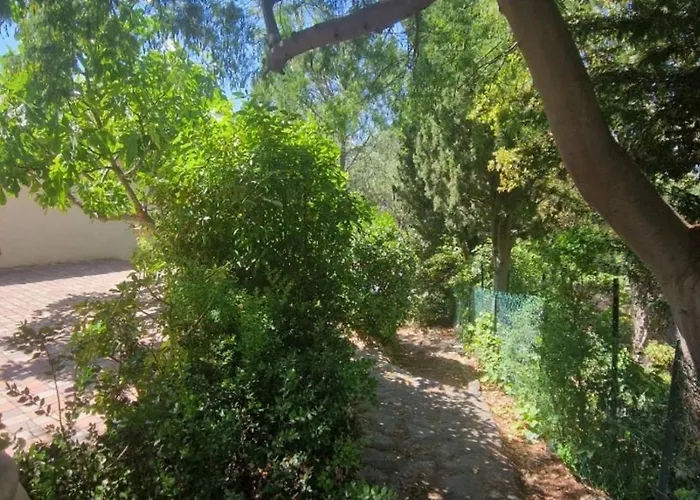 With Garden In Apartment *